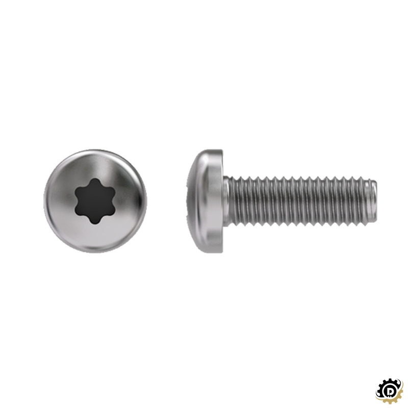 Pan Head Recess T Drive Screws