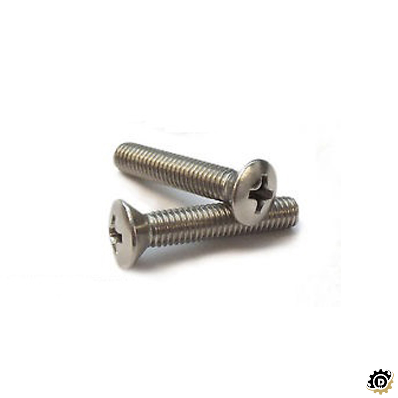 Raised Countersunk Phillips Head Screws